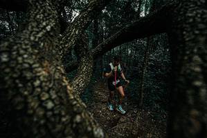 BIB: 
                            <button type="button" onclick="openModal(25689602)" class="btn btn-primary btn-sm float-right btn-popup" data-toggle="modal" data-target=".modal-high-quality">
                        <i class="fas fa-shopping-cart"></i> Add to Cart
                    </button>
                                            <button type="button" onclick="isThisMe(25689602, true)" class="btn btn-success btn-sm float-right btn-popup btn-isme hidden" data-toggle="tooltip" data-placement="bottom" title="นี่คือรูปของคุณใช่ไหม คลิกที่นี่เพื่อเอาเข้าอัลบั้ม">
                        <i class="fas fa-plus"></i> Add to album
                    </button>
                    <button type="button" onclick="isThisMe(25689602, false)" class="btn btn-warning btn-sm float-right btn-popup btn-isnotme hidden">
                        <i class="fas fa-ban"></i> Remove from album
                    </button>